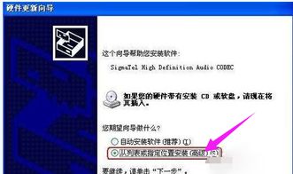 電腦沒有音頻設備怎么辦？一文教你輕松解決軟硬件問題